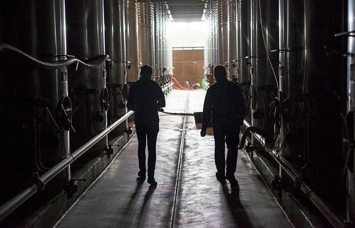 Raigal, en defensa del cultivo tradicional que da vida a Doñana