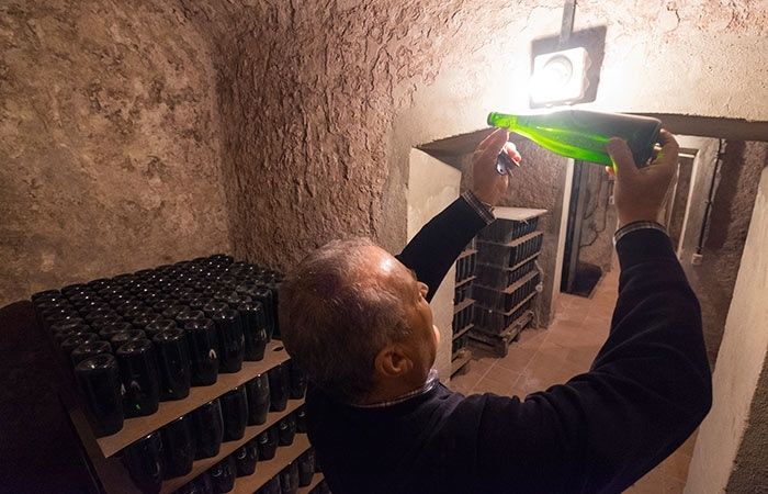 Raigal, en defensa del cultivo tradicional que da vida a Doñana