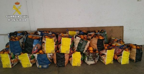 Roban 1.400 kilos de naranjas en tres hurtos en Aljaraque y Cartaya