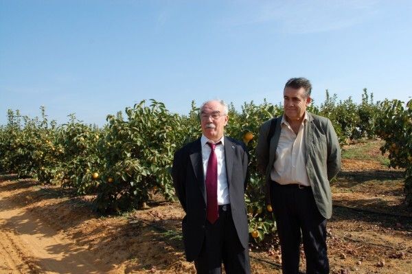El PSOE se compromete a mantener la agricultura 'como unos de los valores más importantes de la provincia'