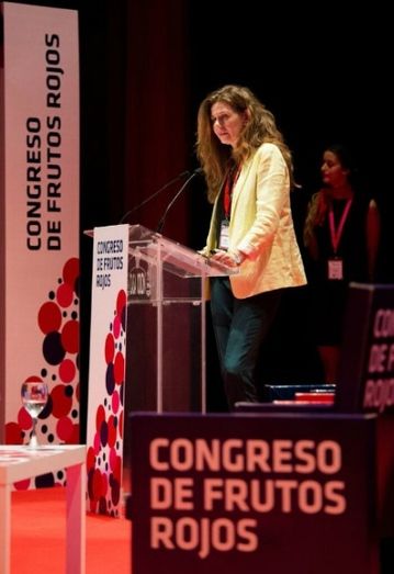 El 91% de la exportación de frutos rojos de Andalucía procede de 147 empresas onubenses