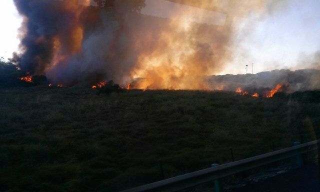 El Infoca consigue estabilizar el nuevo incendio forestal declarado en Gibraleón