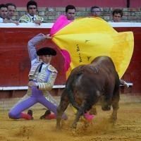 Expectación que se queda a medias