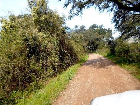Diputación invierte 275.000 euros en la mejora de dos caminos rurales merced al remanente de Tesorería