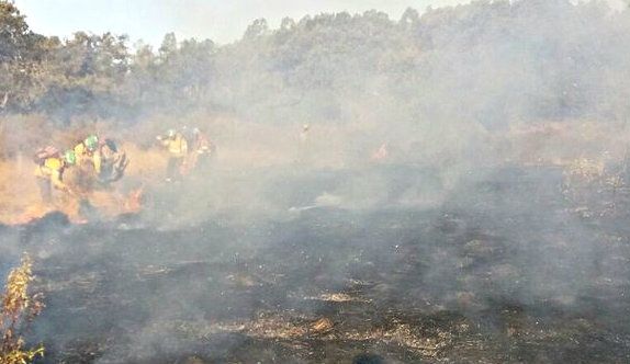 Un incendio declarado en El Castillo de las Guardas afecta a dos fincas del término municipal de Zufre