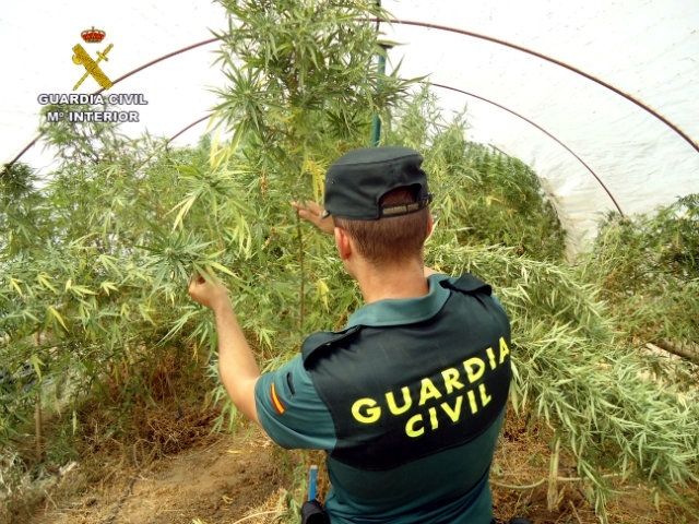La Guardia Civil detiene a dos personas tras localizar un laboratorio de cultivo de marihuana en Aljaraque