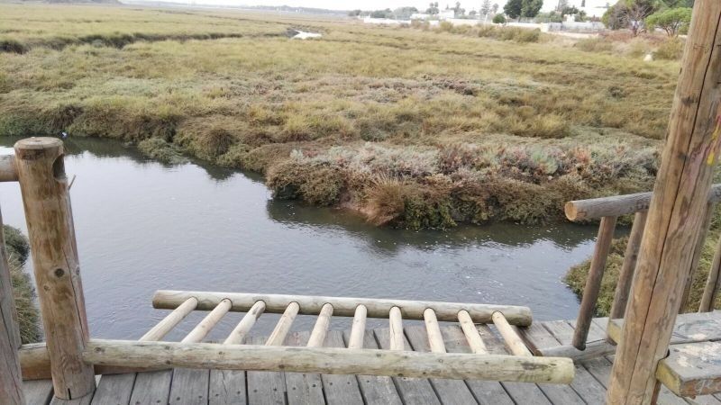Denuncian actos vandálicos en el puente recién reparado entre Corrales y Bellavista