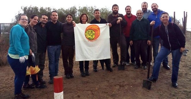 Voluntarios mejoran el hábitat del camaleón común en Islantilla, Marismas del Río Piedras y la Flecha de El Rompido