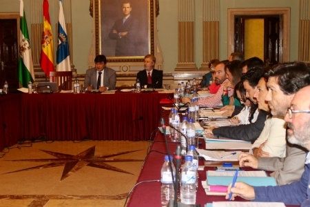 El Pleno del Ayuntamiento aprueba por unanimidad las nuevas bonificaciones fiscales