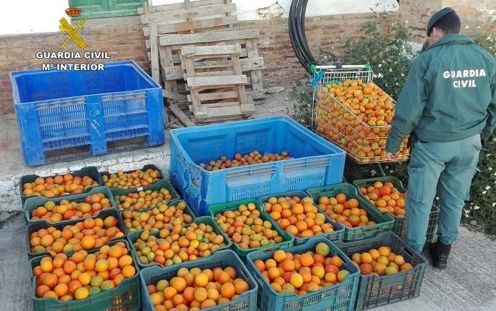Buscan al propietario de 500 kilos de naranjas y mandarinas que llevaban escondidas dos varones en una furgoneta