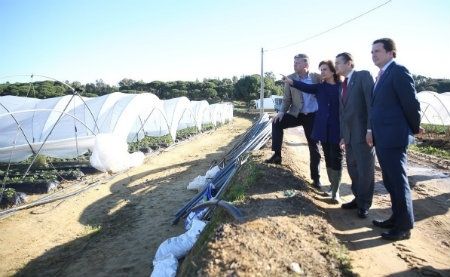 Palos pone un fondo propio de 300.000 euros para los daños del temporal y no pedirá la zona catastrófica