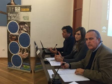 Marismas del Odiel aporta casi la mitad de las aves acuáticas que realizan la invernada