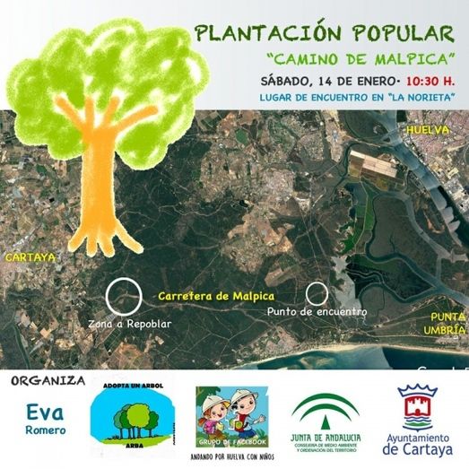 Plantación popular de árboles en el entorno del camino de Malpicat