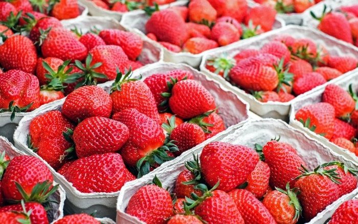 Las cooperativas onubenses denuncian que una cadena de supermercados oferta fresas 'por debajo de precio'