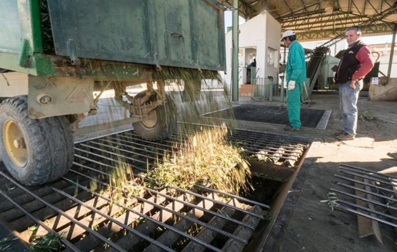 Huelva sigue a la cola de Andalucía en exportación de aceite pese a subir un 30% en 2016