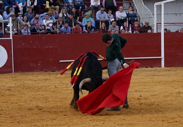 La ilusión de la Tauromaquia, más viva que nunca en Villalba del Alcor