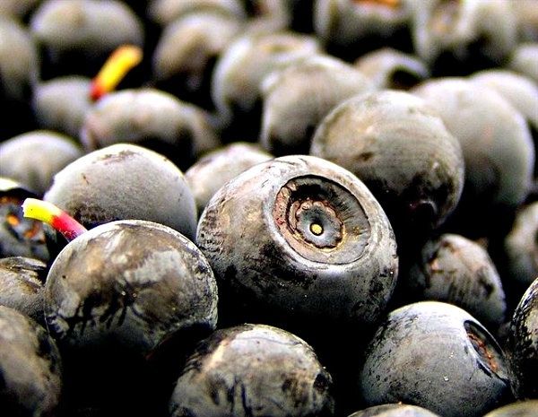 El valor de las exportaciones agroalimentarias crece un 20,19% para dejar en Huelva 1.214,08 millones de euros