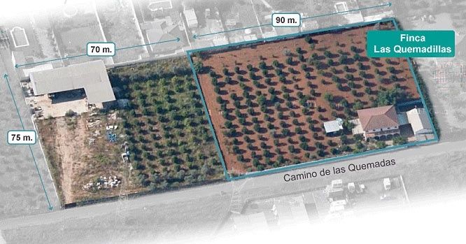 El runrún: Se revaloriza la finca de Bretón
