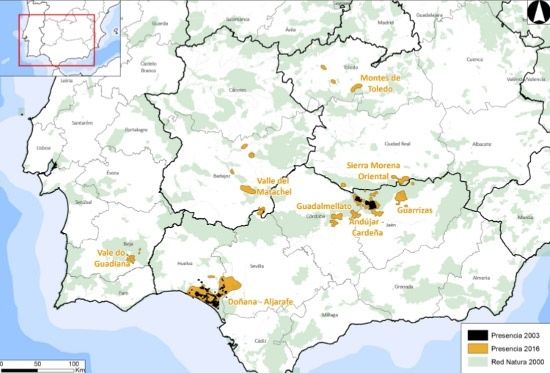 La Unión Europea selecciona el Life para la reintroducción del lince ibérico como uno de los mejores proyectos ejecutados
