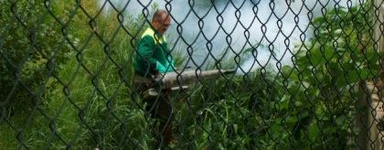 El Servicio de Control de Mosquitos de Diputación inicia el mes de mayo actuando intensivamente sobre los focos