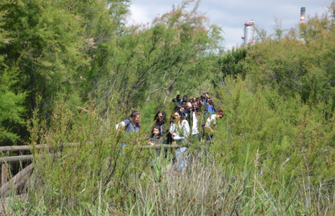 Más de 700 personas conocen Cepsa a través de las Jornadas de Puertas Abiertas