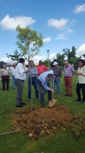 La Junta inicia en Huelva una plantación de árboles para compensar las emisiones del Congreso Internacional de Cambio Climático