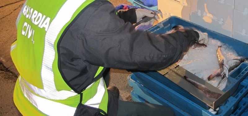 Intervienen 224 kilos de merluza inmadura en un control en la A-49