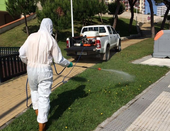 La Diputación lleva a cabo un tratamiento antimosquitos en zonas ajardinadas de Punta Umbría