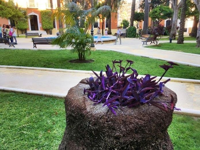 El runrún: A prueba el ‘tirón’ de ‘Rodri’