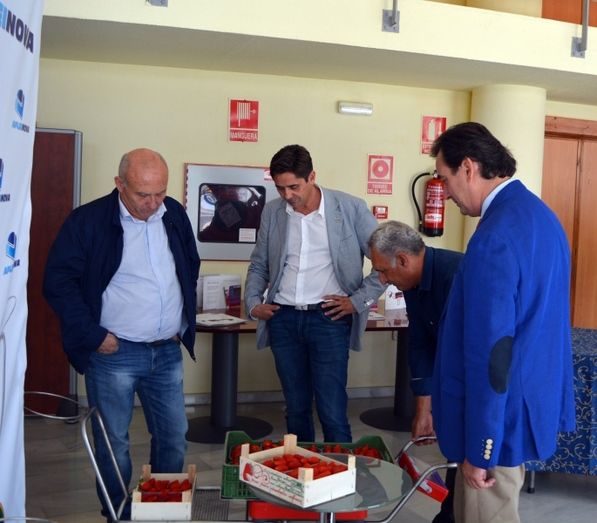 Apleinova se suma a Cuna de Platero para la recolección de fresas durante todo el año