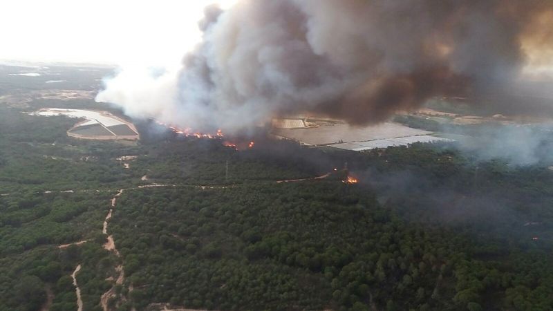 Medios del Infoca luchan contra un incendio declarado en el paraje La Peñuela de Moguer