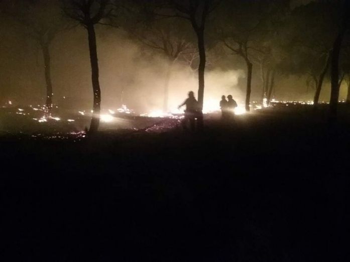 Bomberos del Consorcio lamentan que no se activara a 'personal suficiente' del colectivo en el incendio de Moguer