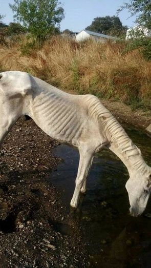 El runrún: ‘Gemeliers’, de vuelta a Huelva