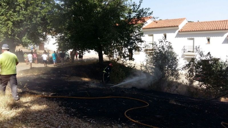 Un incendio quema una zona de eucaliptos del paseo Gruta de las Maravillas de Aracena