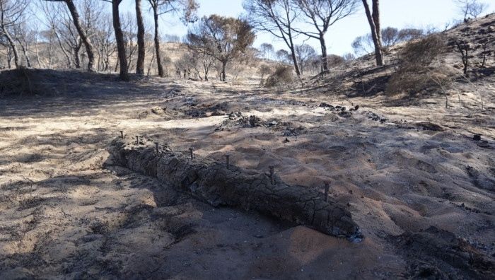 Moguer cifra en entre 10 y 12 millones los daños materiales por el incendio