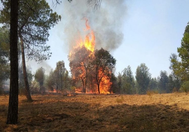 Estabilizado en Villablanca un incendio que ha llegado a amenazar  varias viviendas cercanas