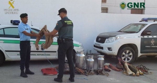 Dos detenidos por un delito continuado de hurto en varias explotaciones ganaderas de Paymogo