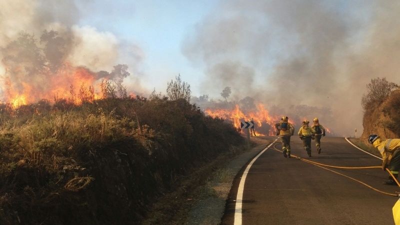 Declarado un incendio forestal en un paraje de La Nava