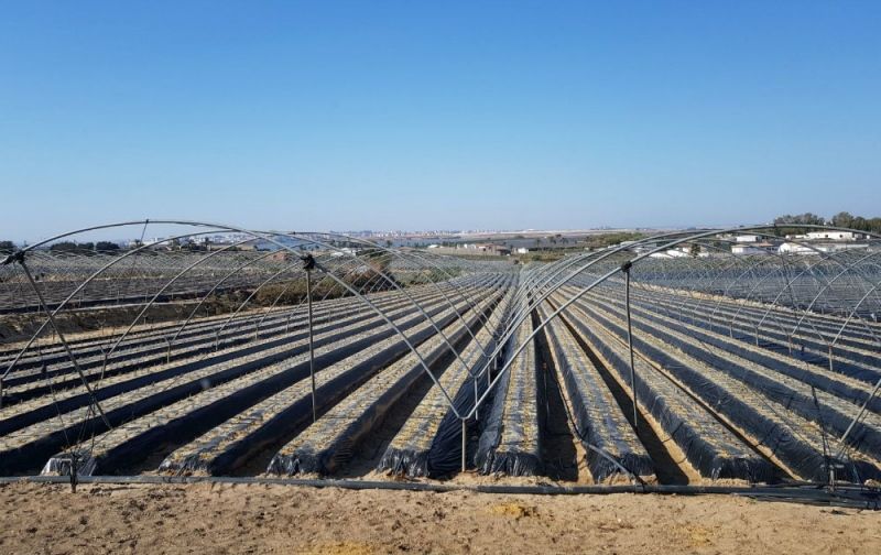 El robo de cobre amenaza a las Comunidades de Regantes, según UPA-Huelva