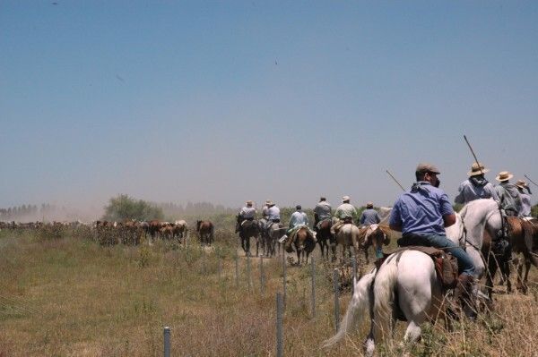El Ayuntamiento de Almonte participará en el Salón Internacional del Caballo