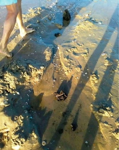 La Junta trabaja para designar al espacio de los restos del posible pecio del Portil como zona arqueológica