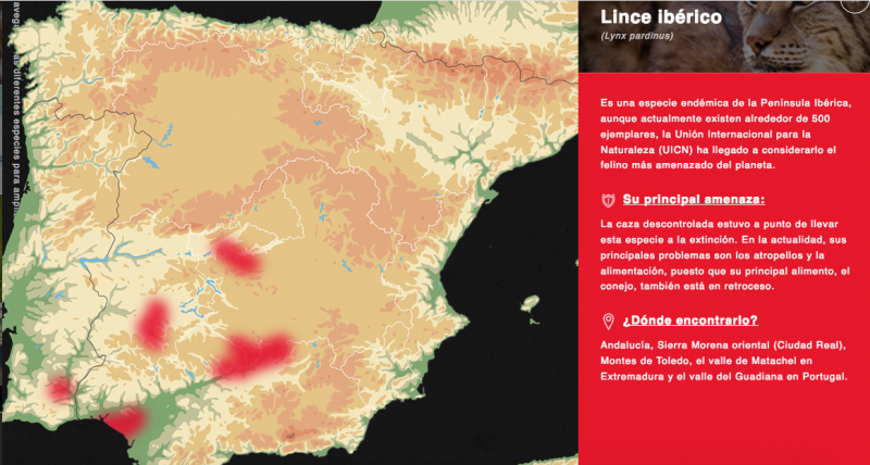El runrún: Dos especies onubenses, entre las más amenazadas