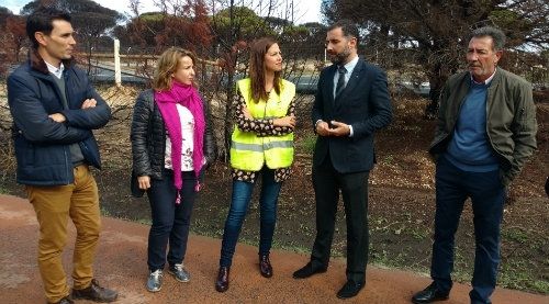 La Junta finaliza la renovación de las barreras y señalización de la carretera afectada por el incendio de Moguer 