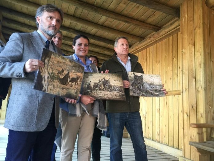 Doñana tendrá un nuevo espacio en el que se podrán observar dos linces