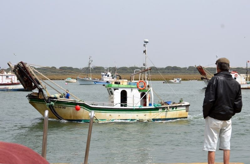 La alcaldesa de Punta Umbría pide ayudas para la marinería ante el inminente cierre del caladero de la chirla
