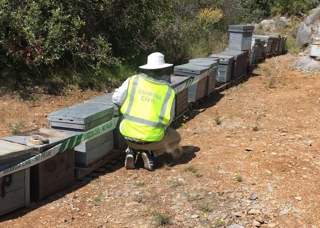 El runrún: Llegan los ladrones de abejas