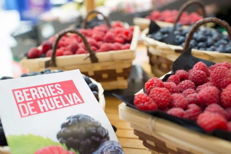 Freshuelva destaca que Fruit Logística confirma a los productos onubenses como referentes de los berries