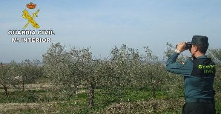 Detienen a dos varones por robar material de riego en tres fincas de Villalba del Alcor y La Palma del Condado