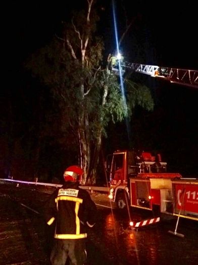 Reabierta al tráfico la N-431 por los destrozos provocados por un tornado a la altura de Peguerillas