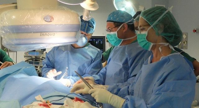 El equipo del doctor onubense Gómez Vidal remplaza una válvula mitral cardiaca sin cirugía por primera vez en Andalucía